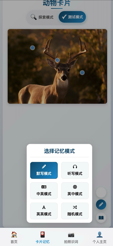 图词应用展示